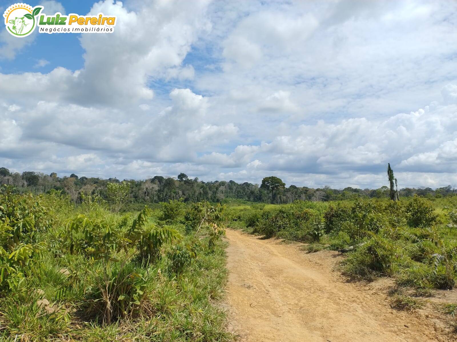 Terreno, 651 m² - Foto 10