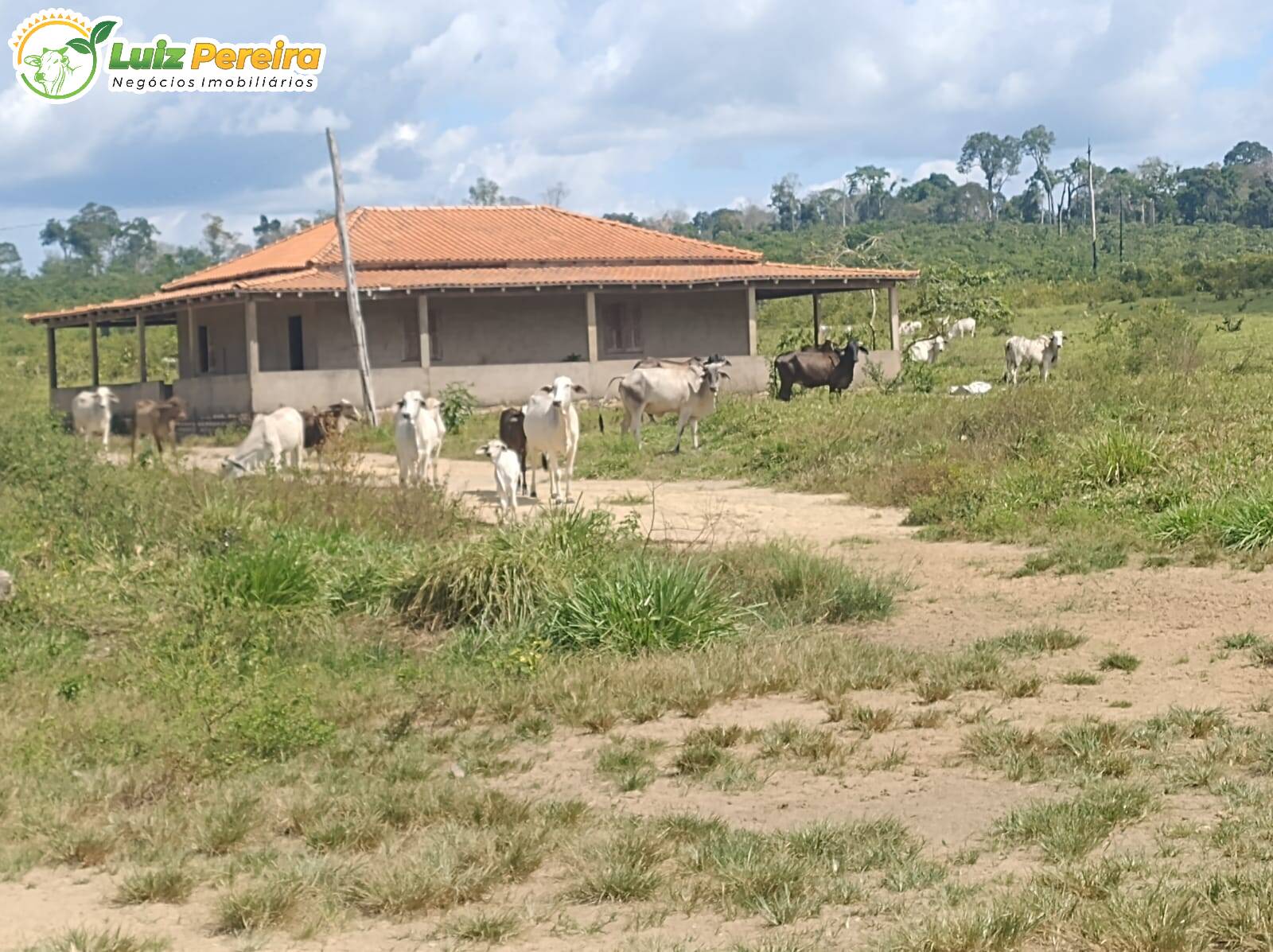 Terreno, 651 m² - Foto 11