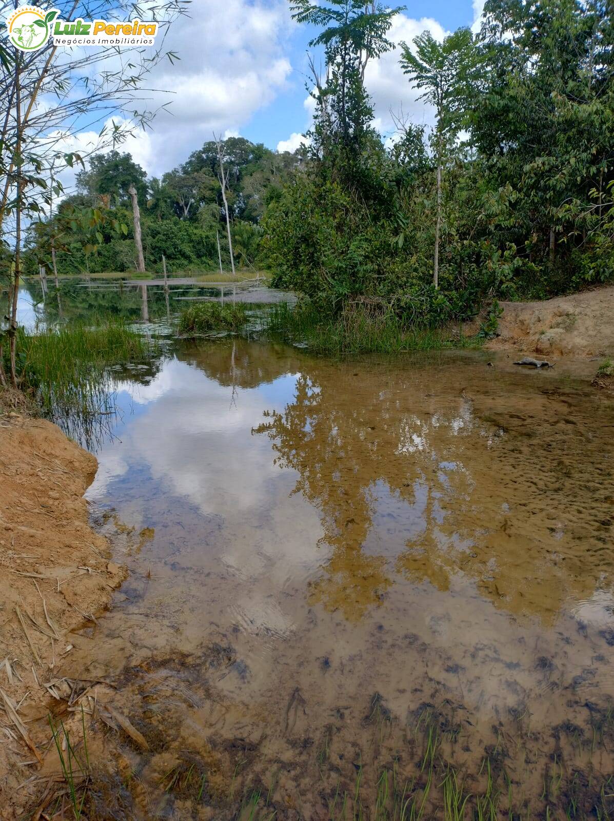 Terreno, 651 m² - Foto 12