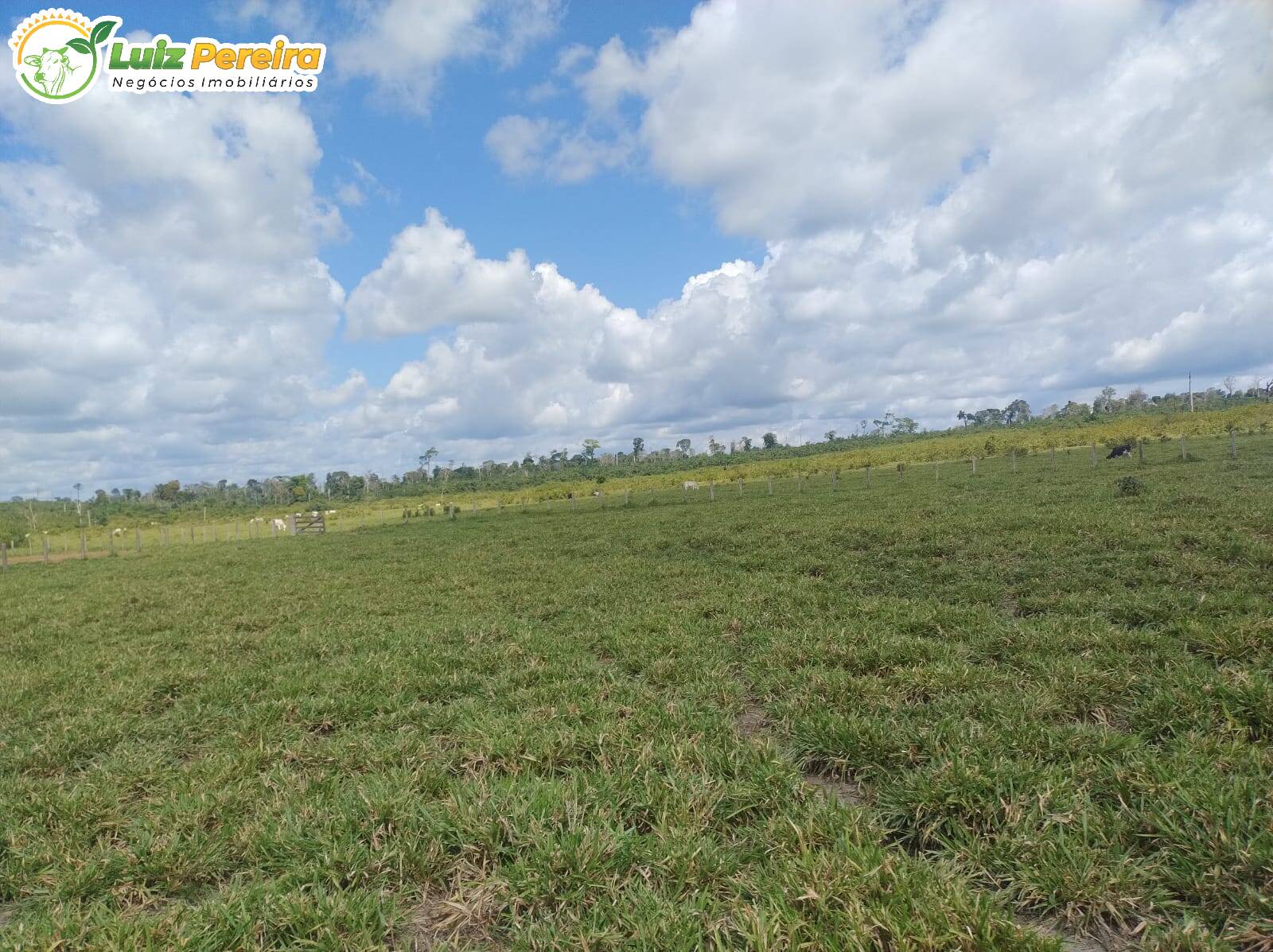 Terreno, 651 m² - Foto 2