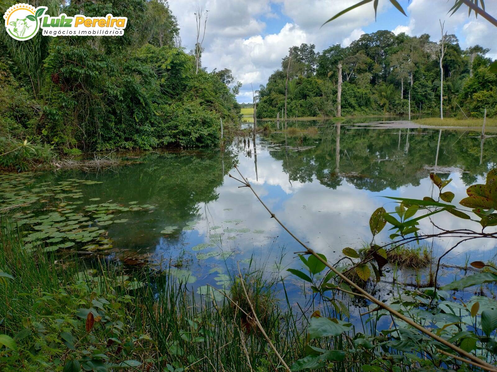 Terreno, 651 m² - Foto 13