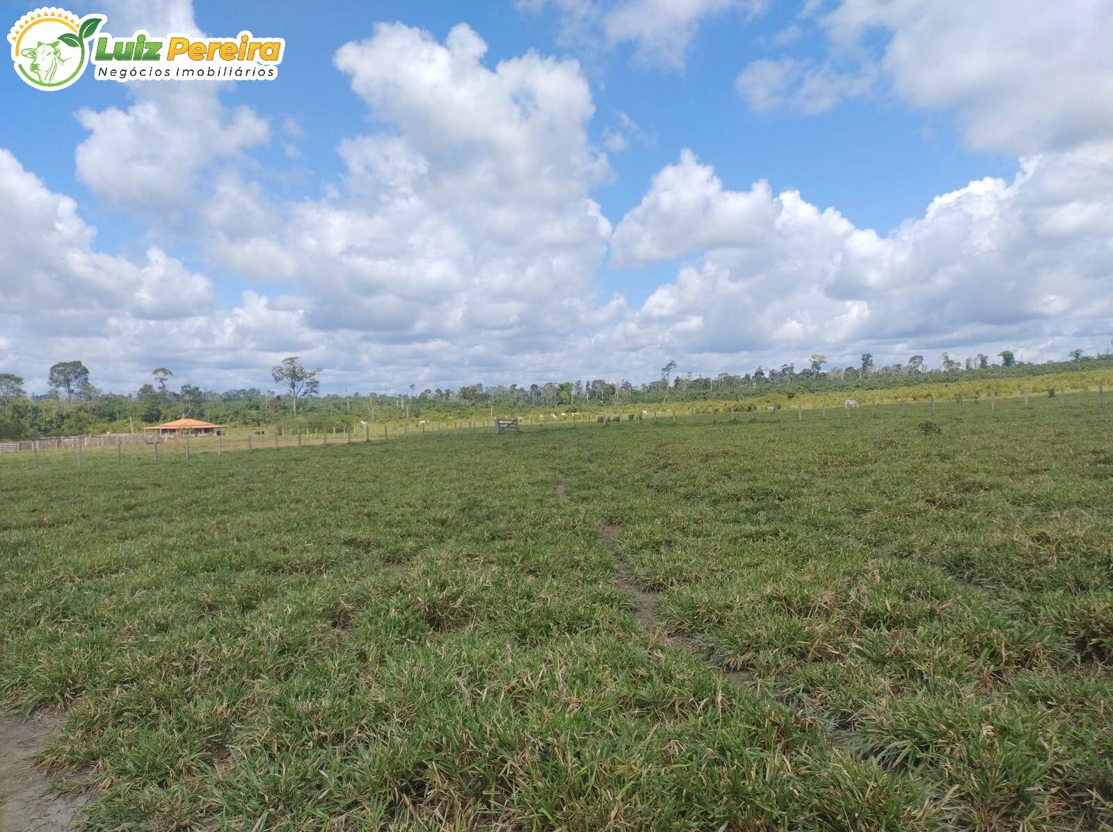 Terreno, 651 m² - Foto 3