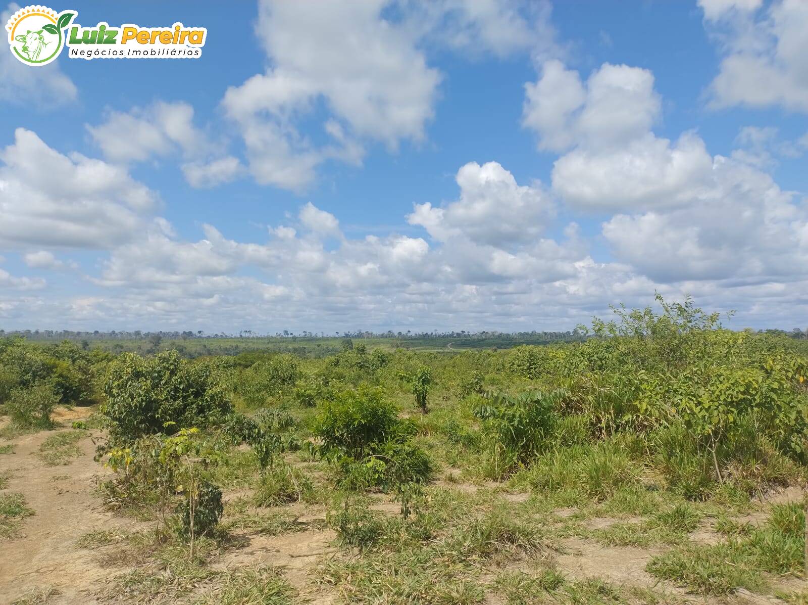 Terreno, 651 m² - Foto 5