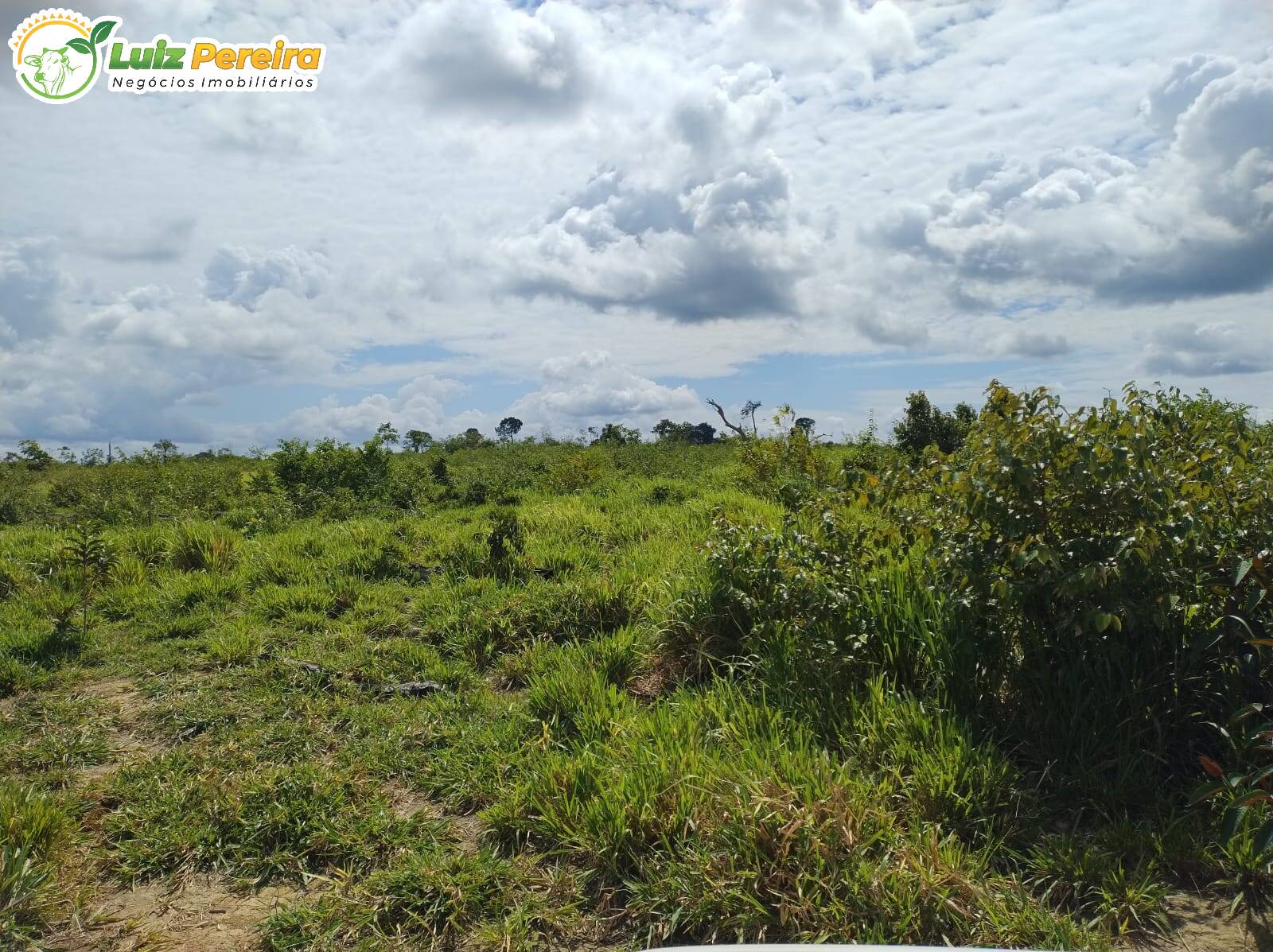 Terreno, 651 m² - Foto 7