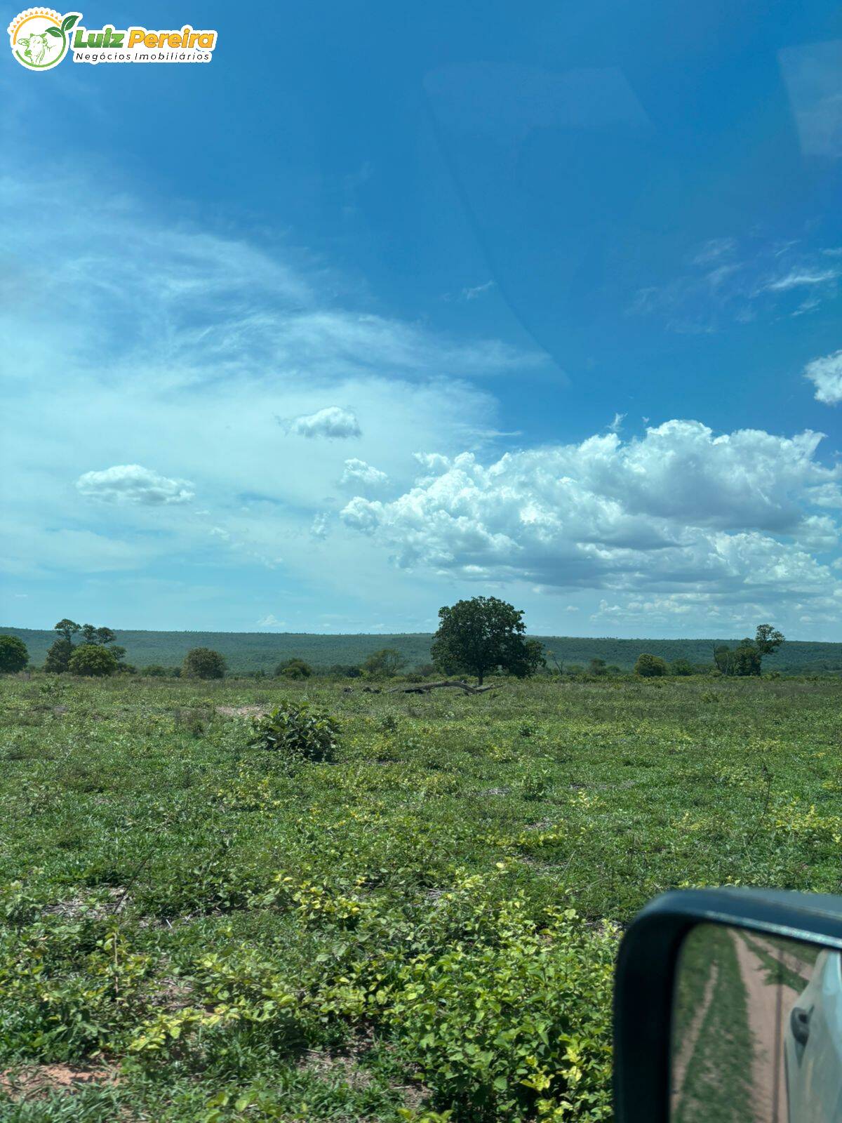 Terreno, 3800 m² - Foto 4