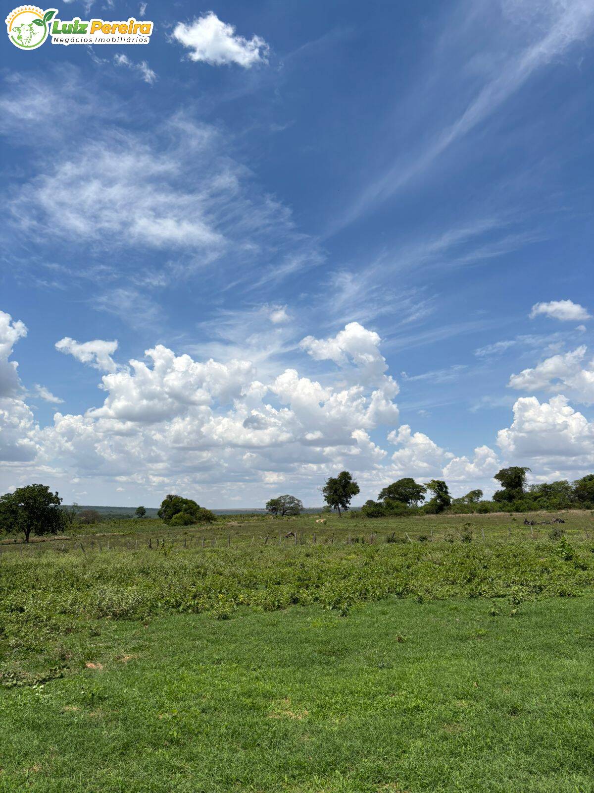 Terreno, 3800 m² - Foto 3