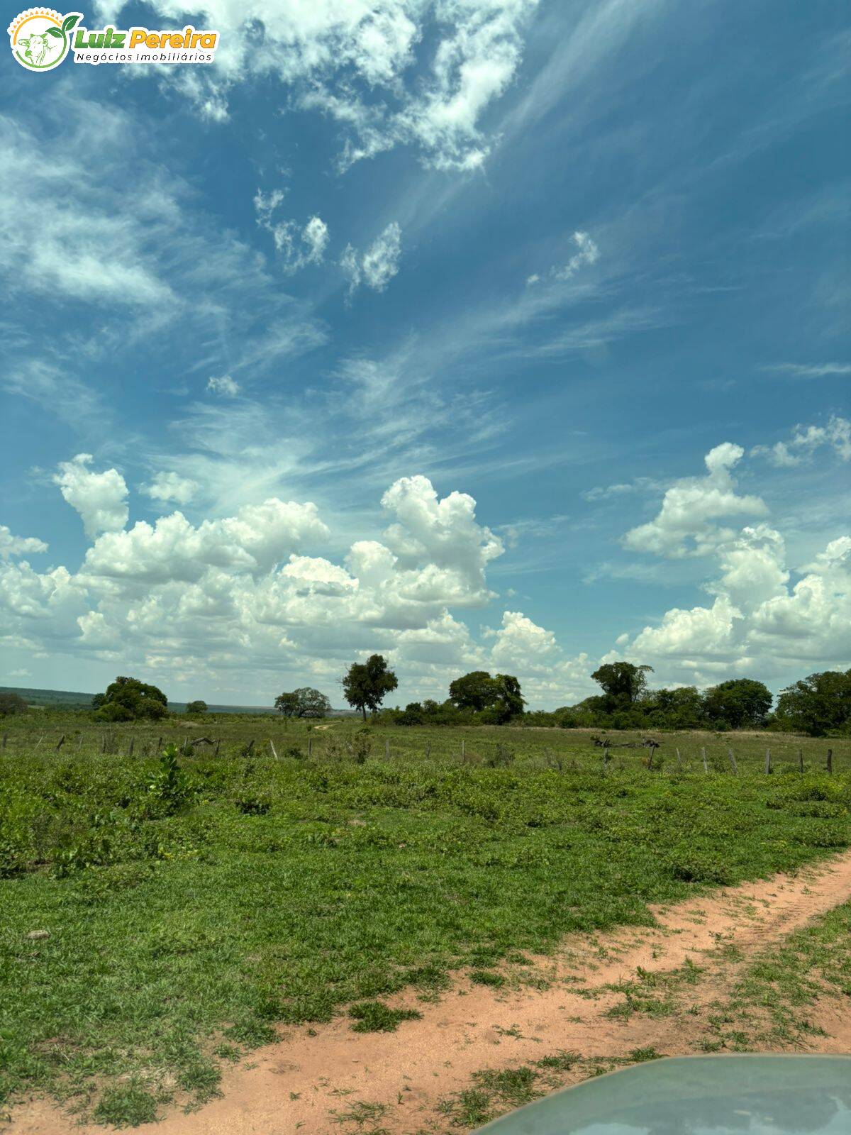 Terreno, 3800 m² - Foto 2