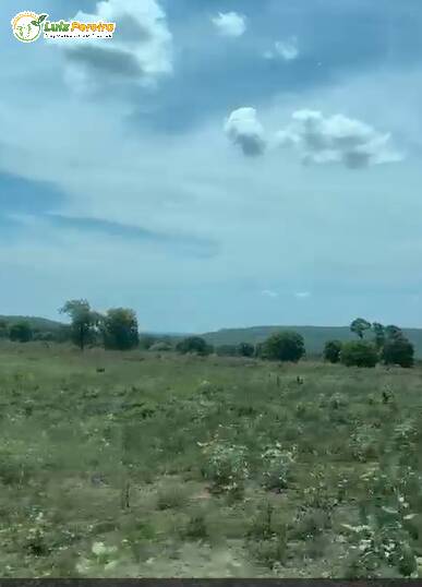 Terreno, 3800 m² - Foto 1