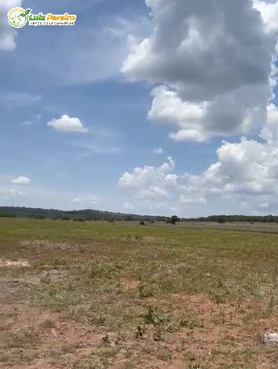 Terreno, 3800 m² - Foto 5