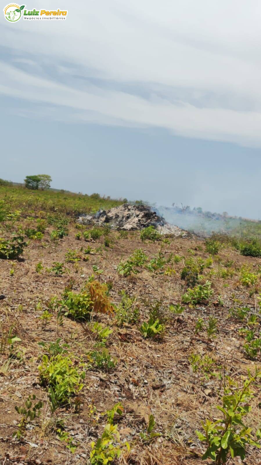 Terreno, 2018 m² - Foto 1