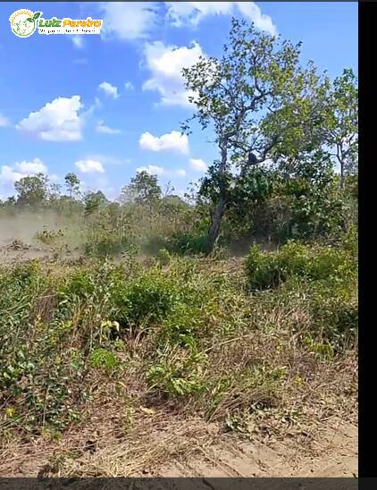 Terreno, 2018 m² - Foto 4