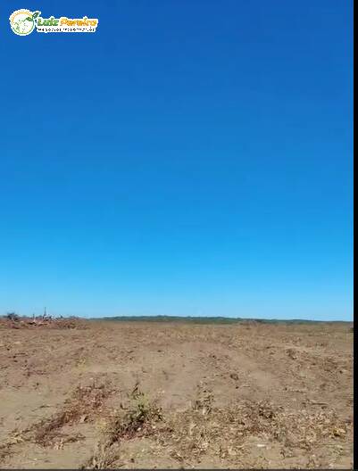 Terreno, 2018 m² - Foto 5