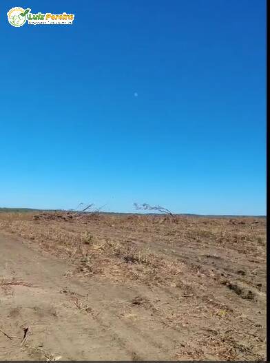 Terreno, 2018 m² - Foto 6