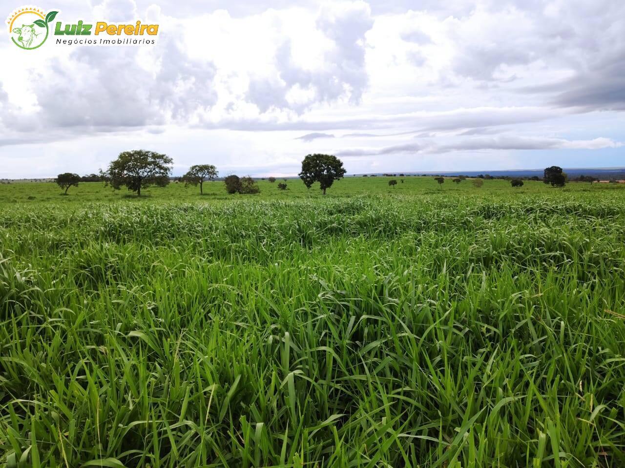 Terreno, 670 m² - Foto 1