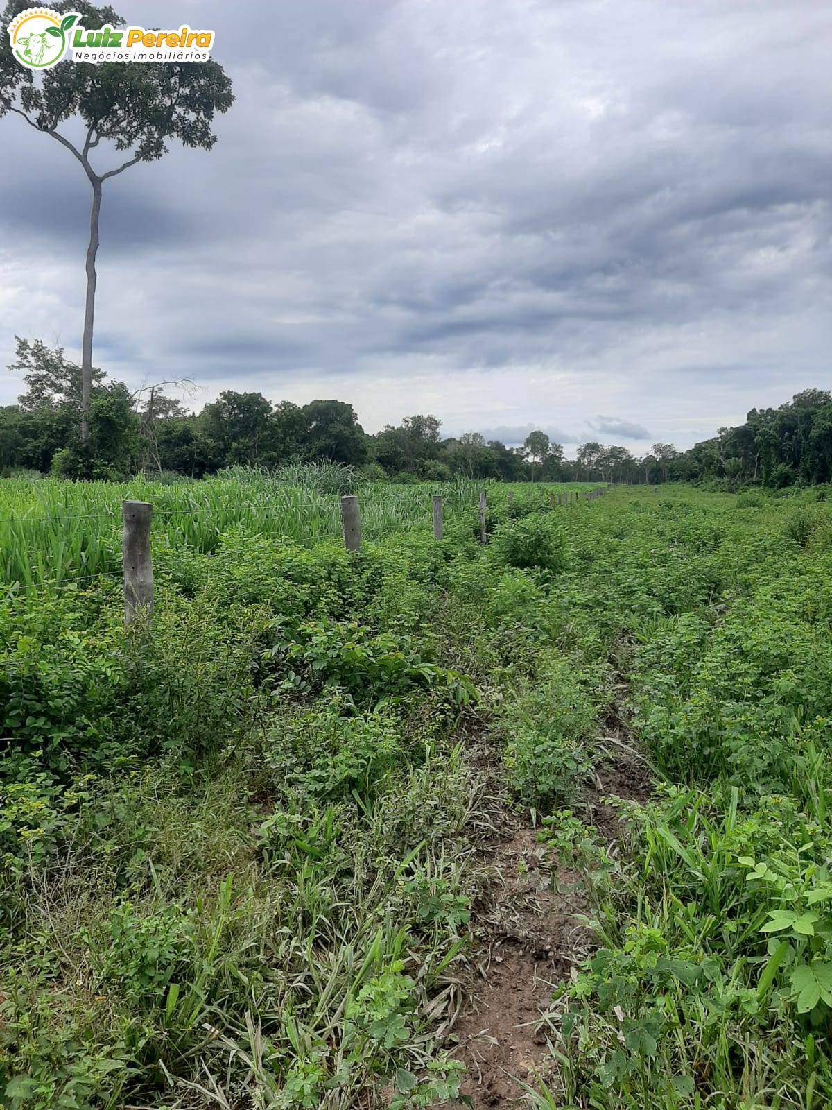 Terreno, 3600 m² - Foto 3