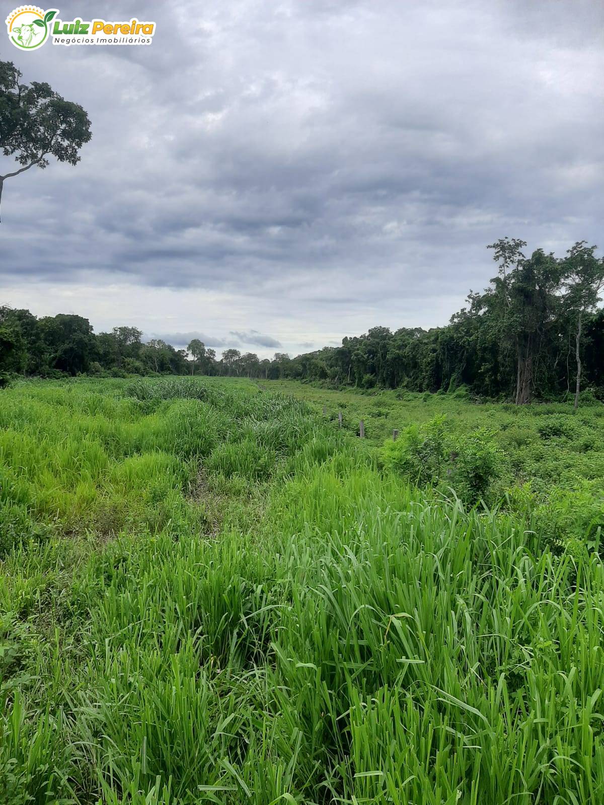 Terreno, 3600 m² - Foto 2