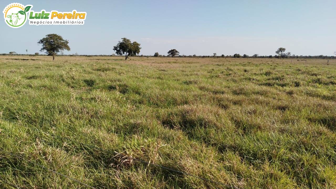 Terreno, 7128 m² - Foto 2