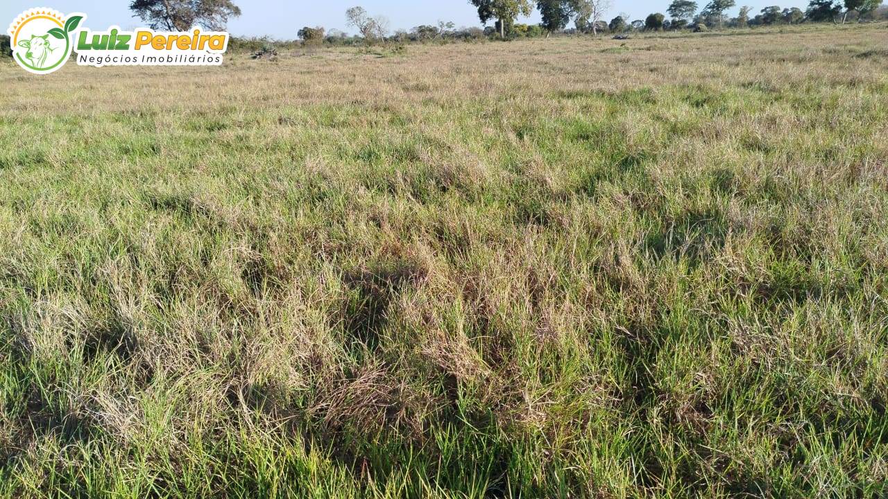 Terreno, 7128 m² - Foto 3