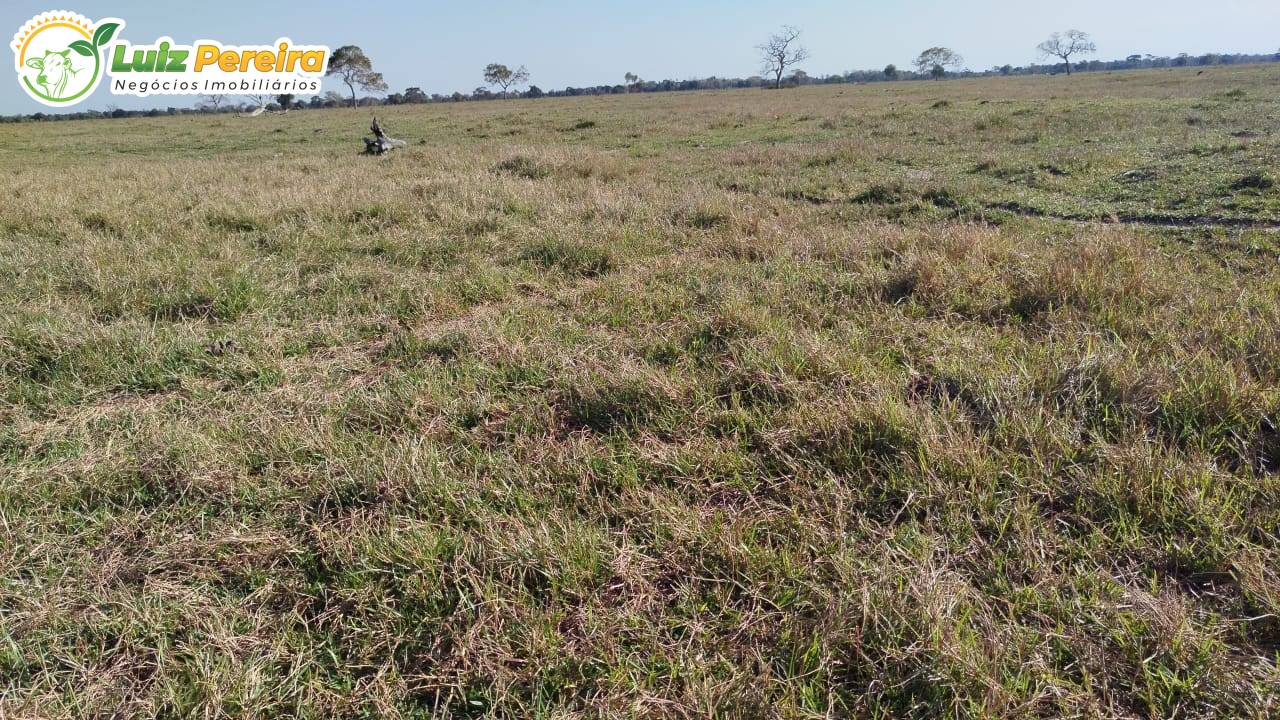 Terreno, 7128 m² - Foto 5