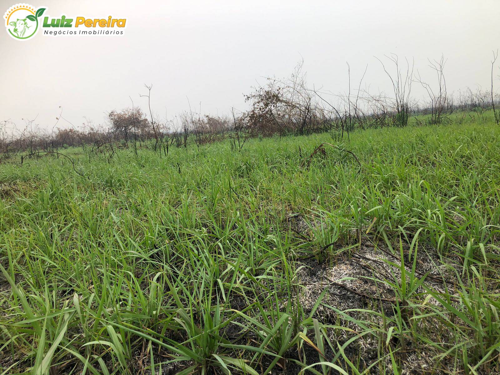 Terreno, 3418 m² - Foto 9