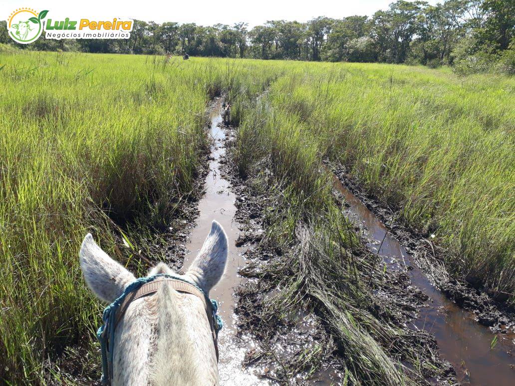 Terreno, 3418 m² - Foto 10