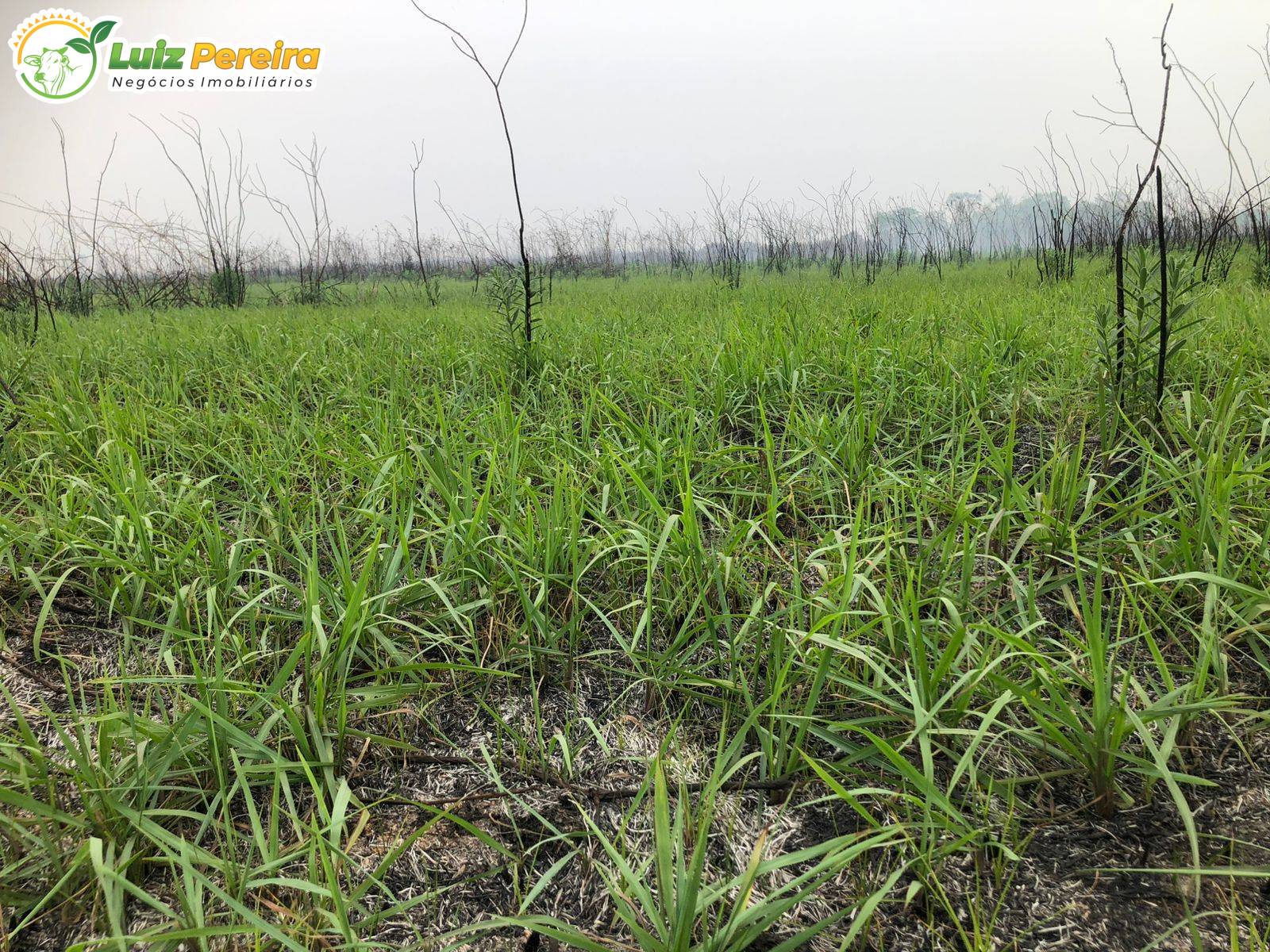 Terreno, 3418 m² - Foto 8