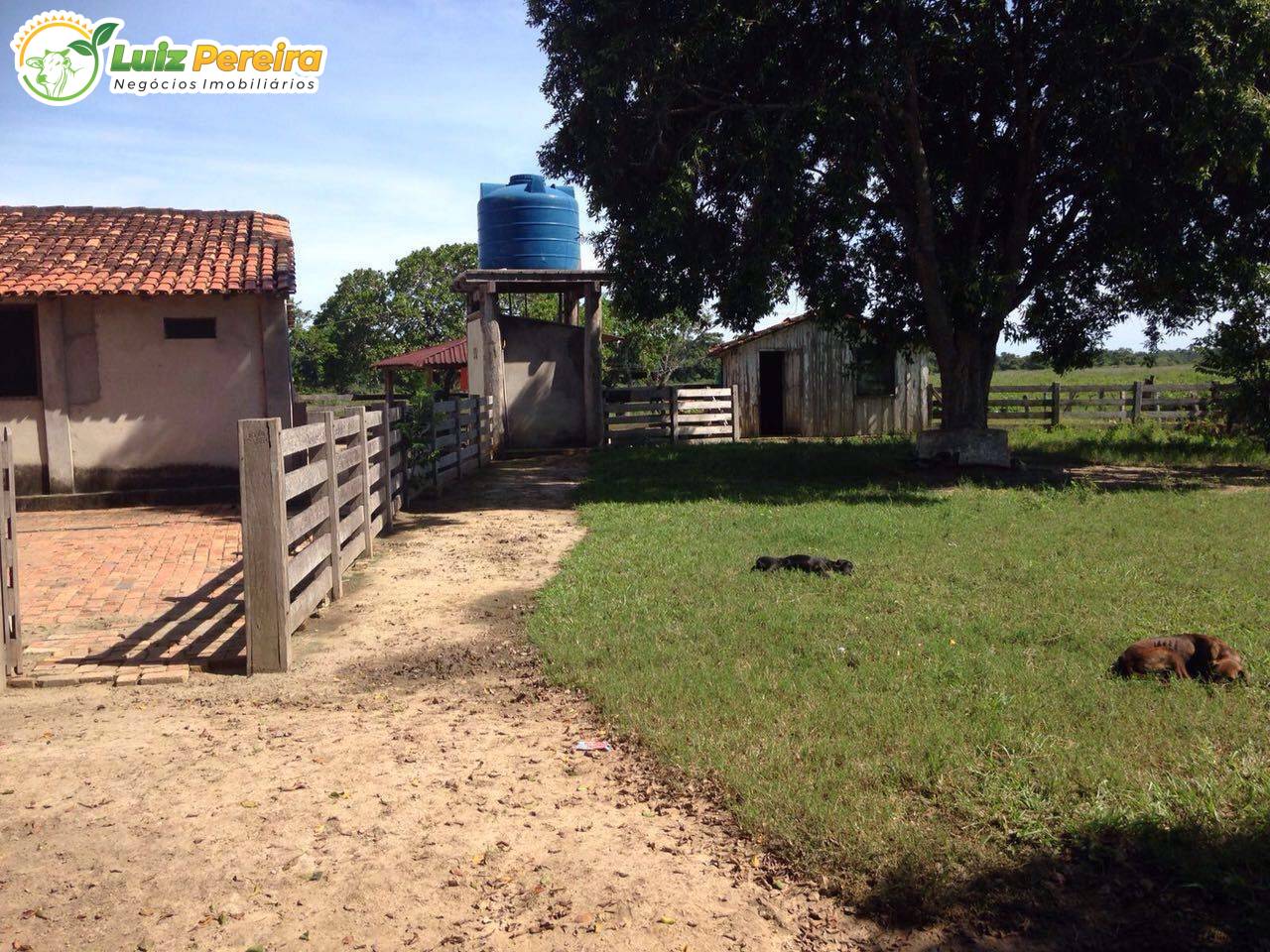 Terreno, 3418 m² - Foto 16