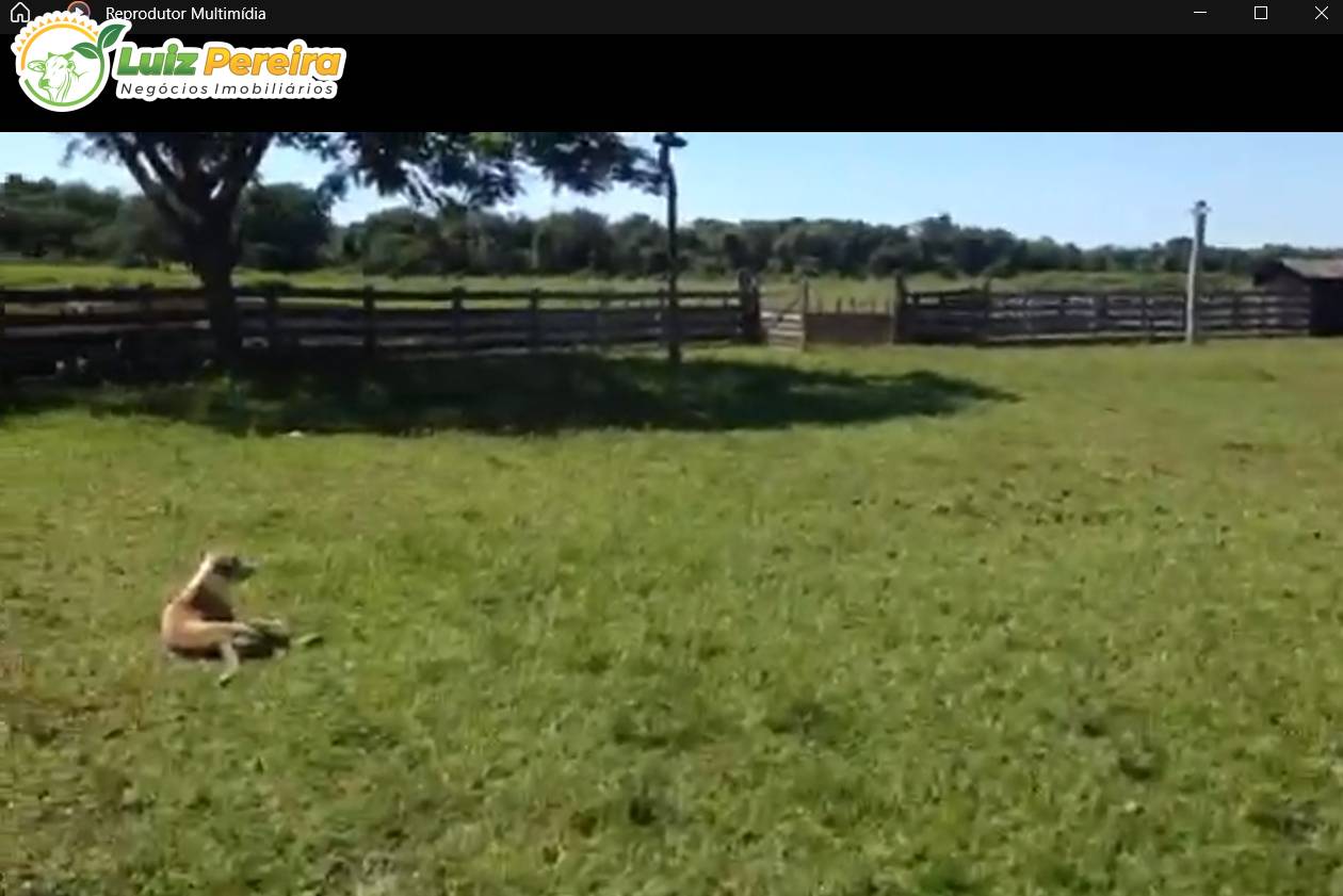 Terreno, 3418 m² - Foto 4