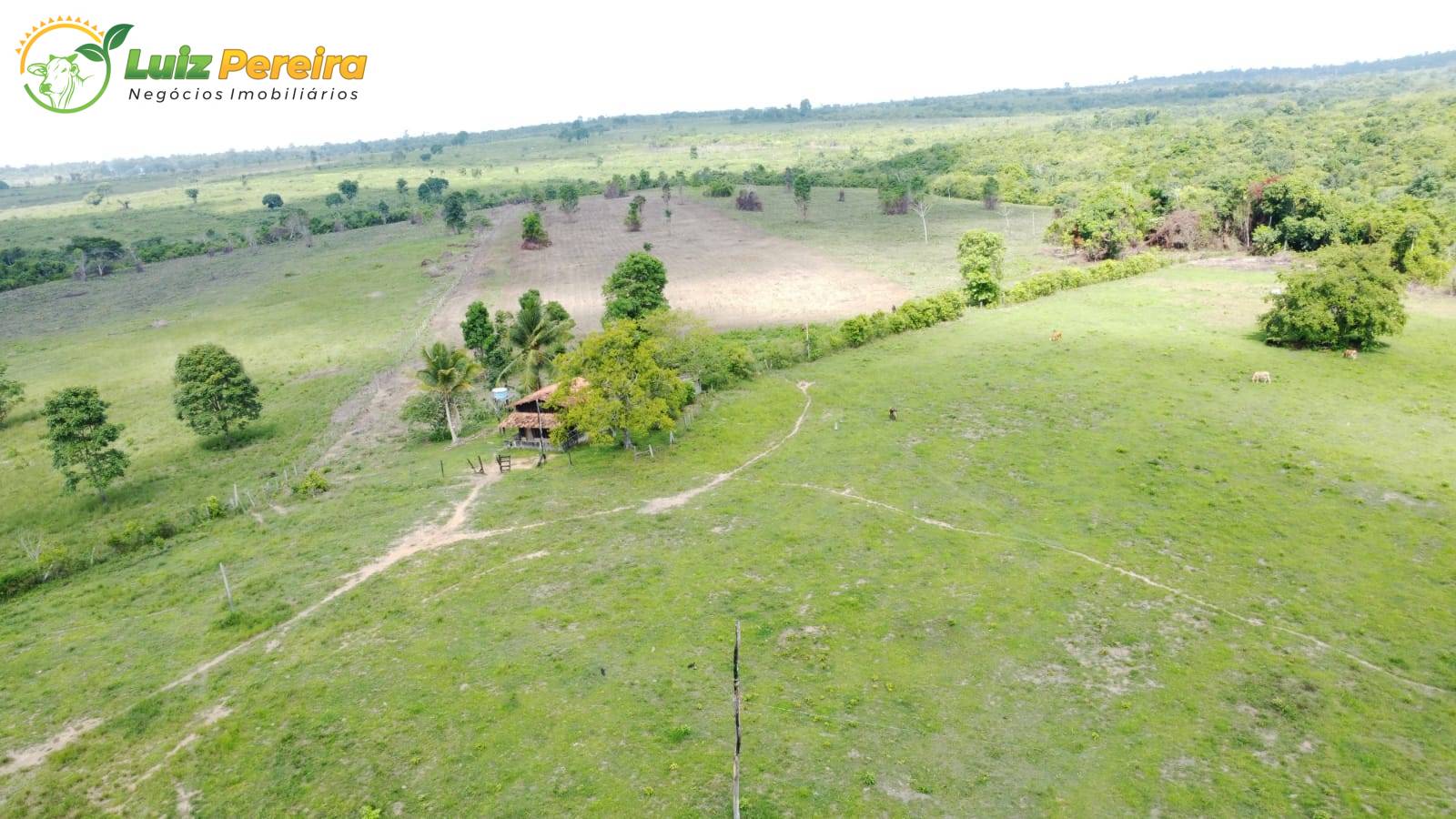 Terreno, 2168 m² - Foto 9