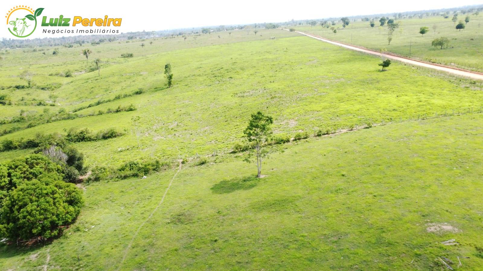 Terreno, 2168 m² - Foto 10