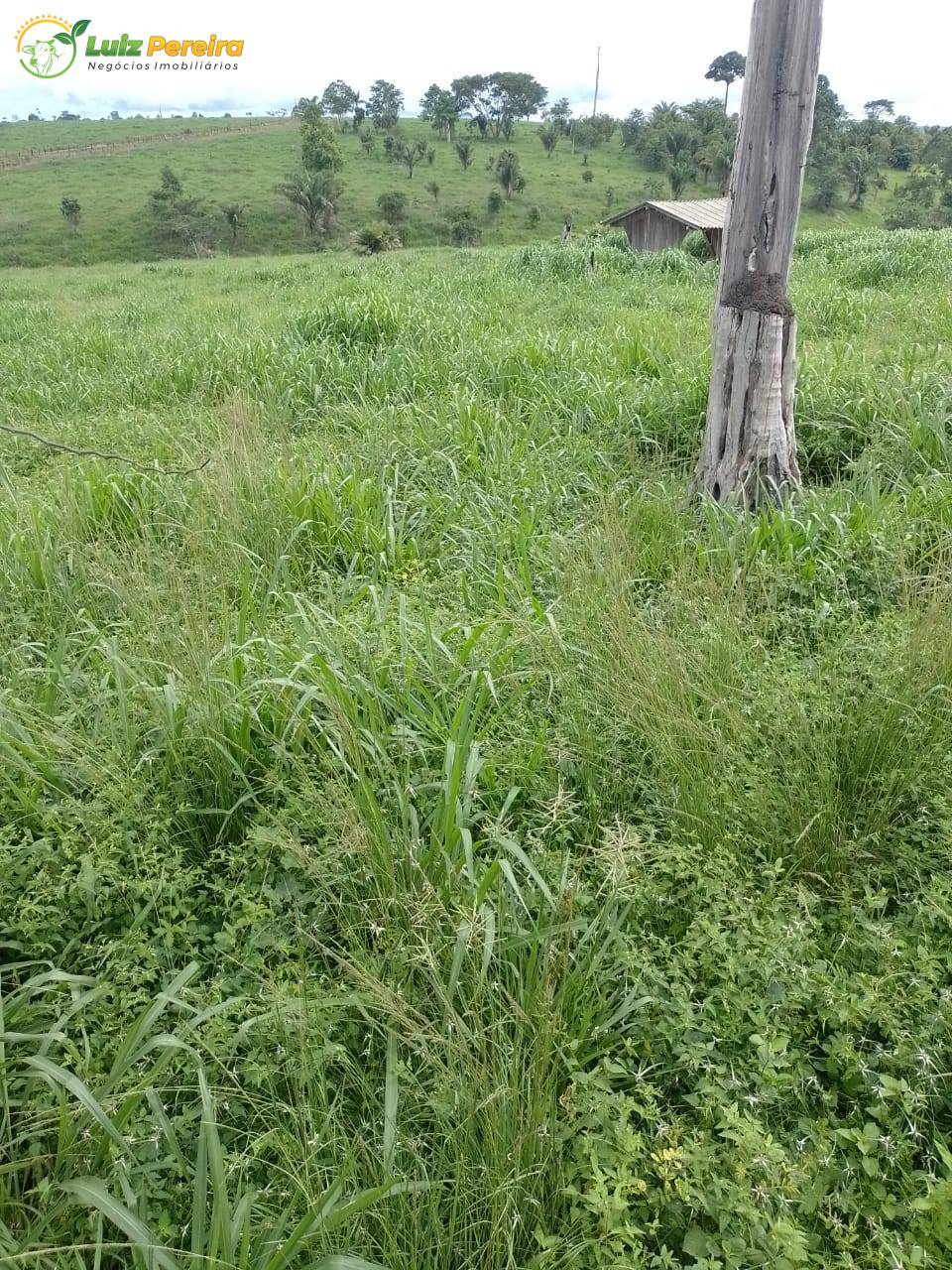 Terreno, 469 m² - Foto 3