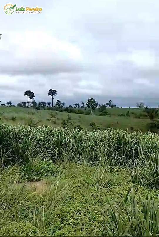 Terreno, 469 m² - Foto 1