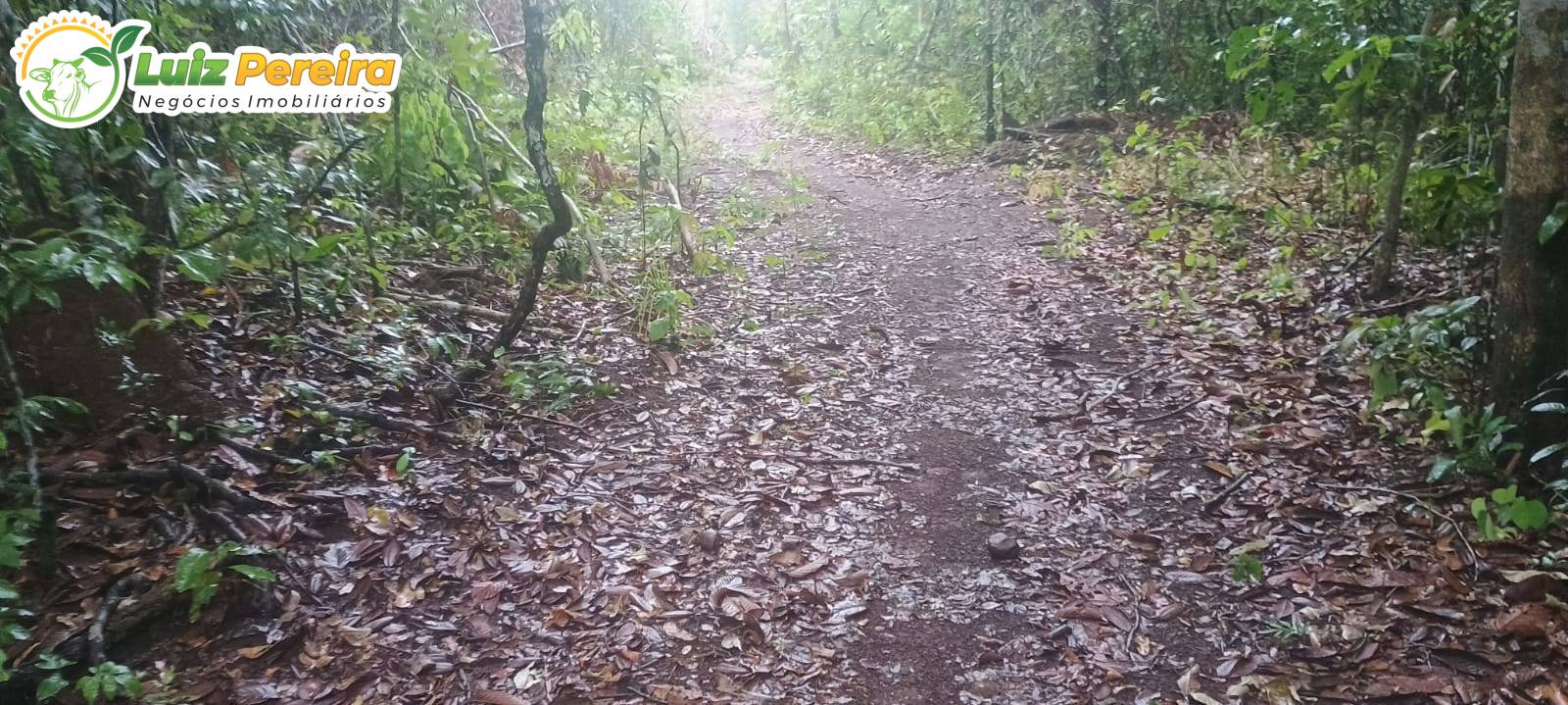 Terreno, 886 m² - Foto 2