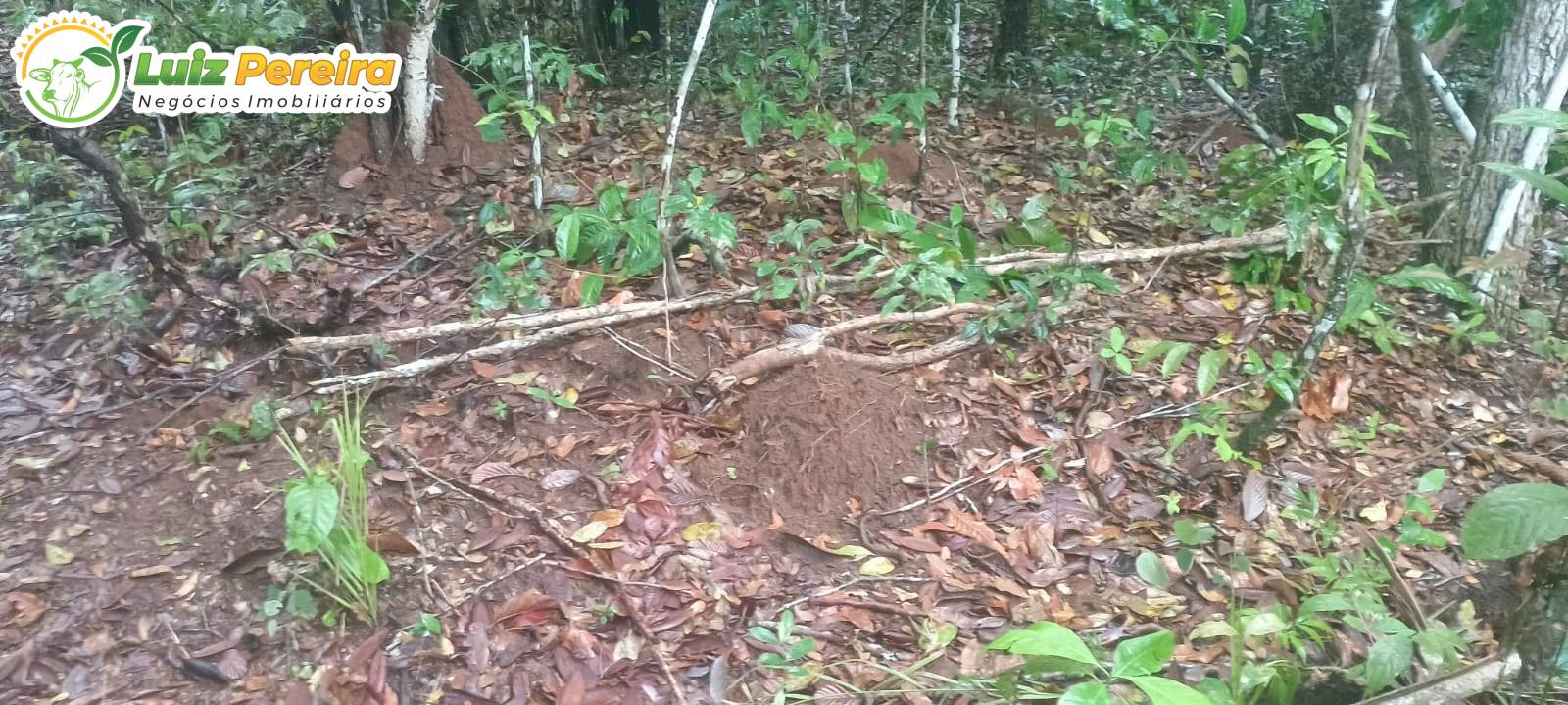 Terreno, 886 m² - Foto 3