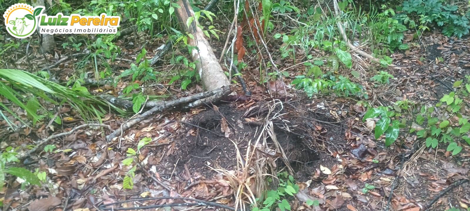 Terreno, 886 m² - Foto 4