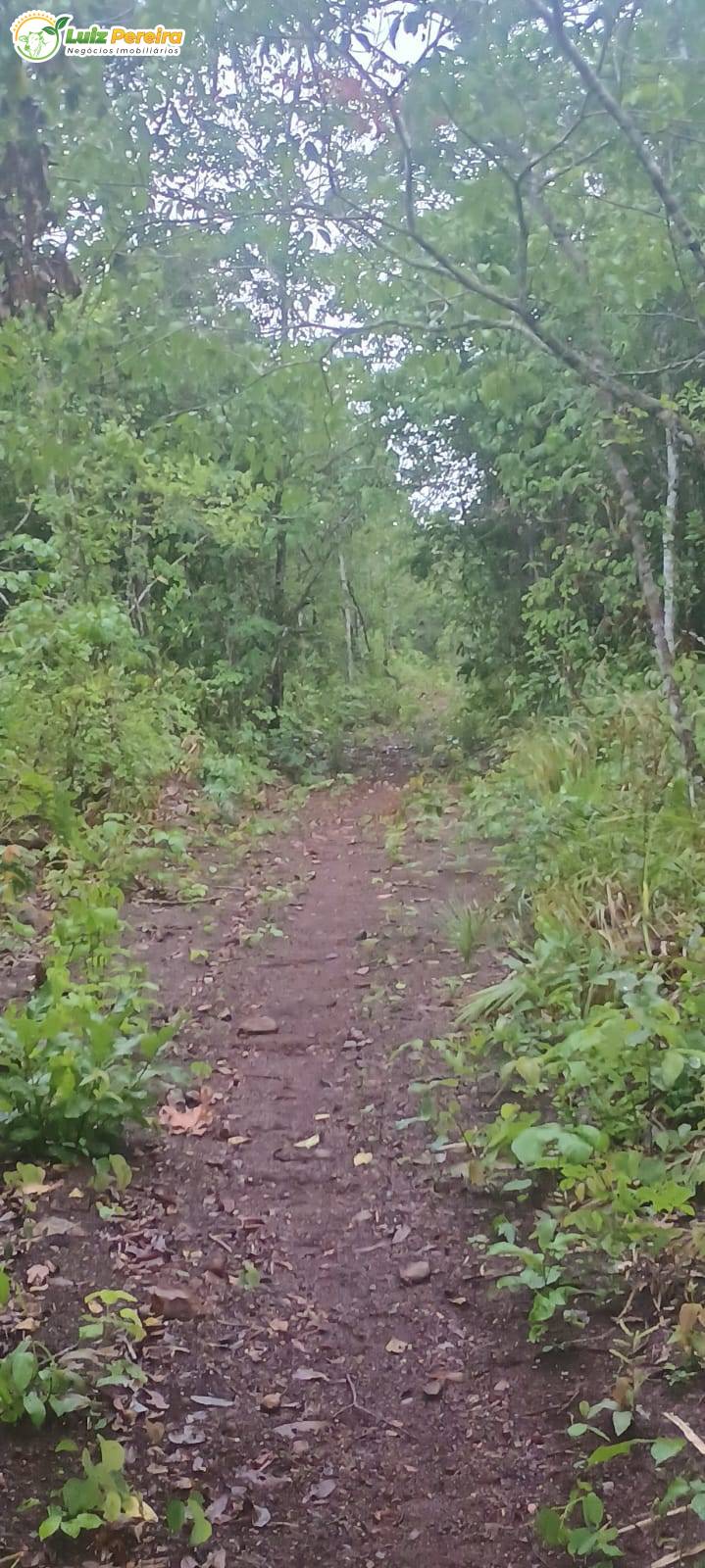 Terreno, 886 m² - Foto 5