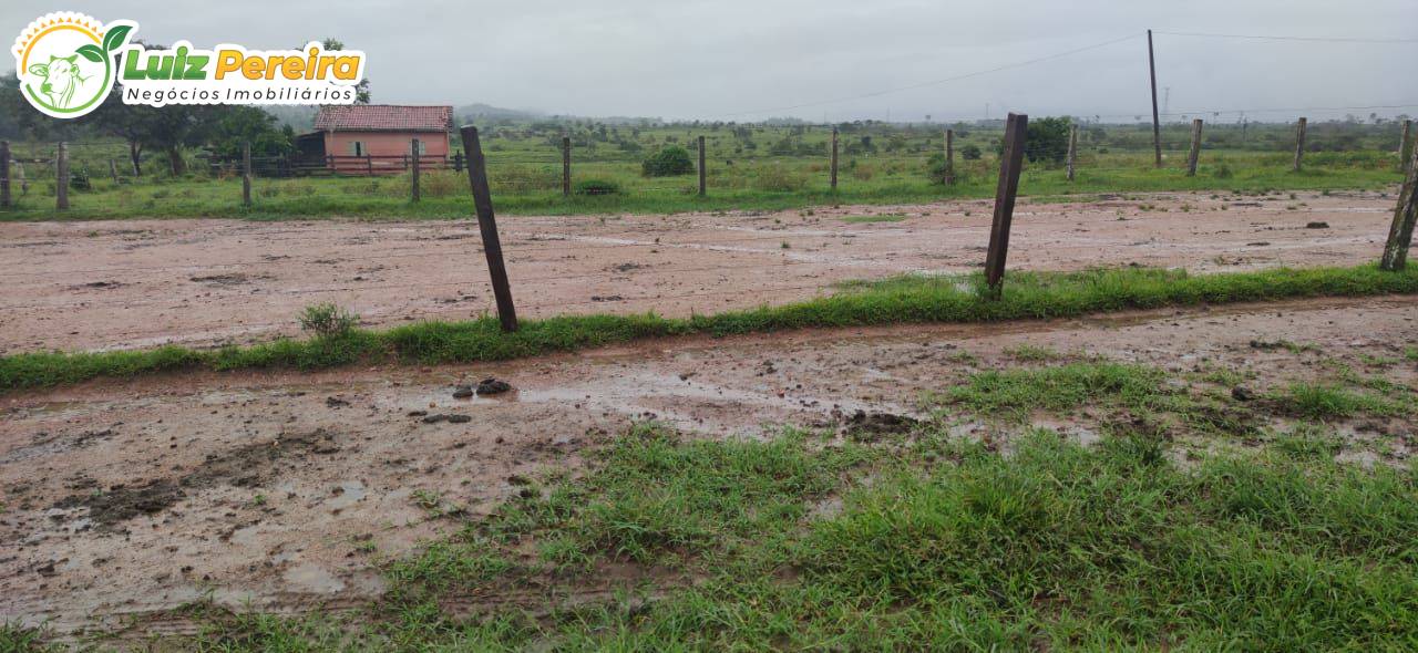 Terreno, 2904 m² - Foto 4