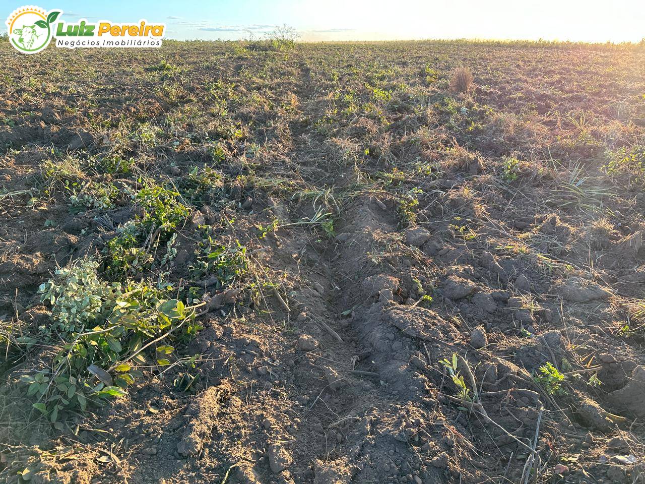 Terreno, 480 m² - Foto 2