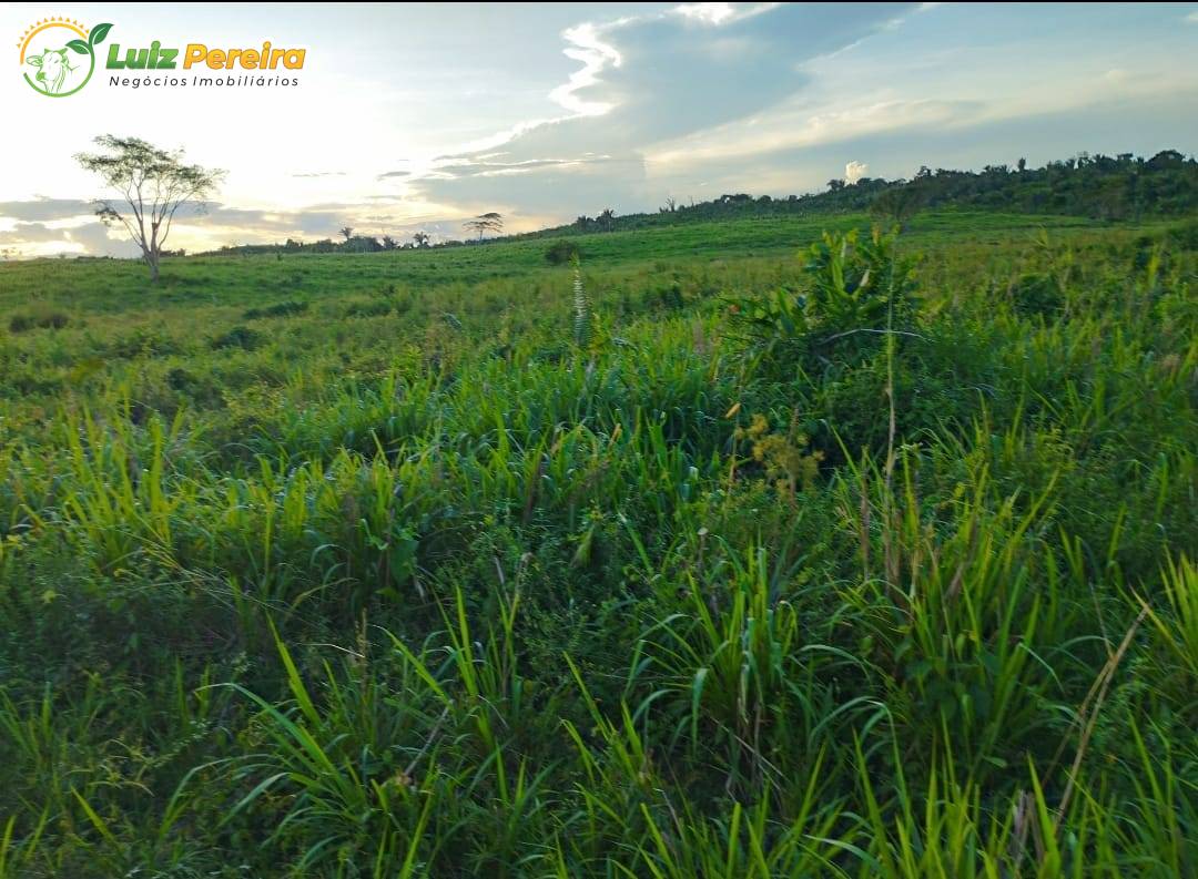 Terreno, 387 m² - Foto 3