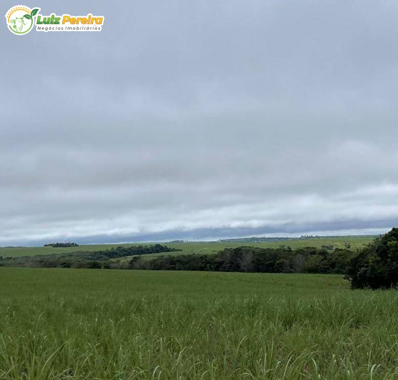 Terreno, 1006 m² - Foto 13