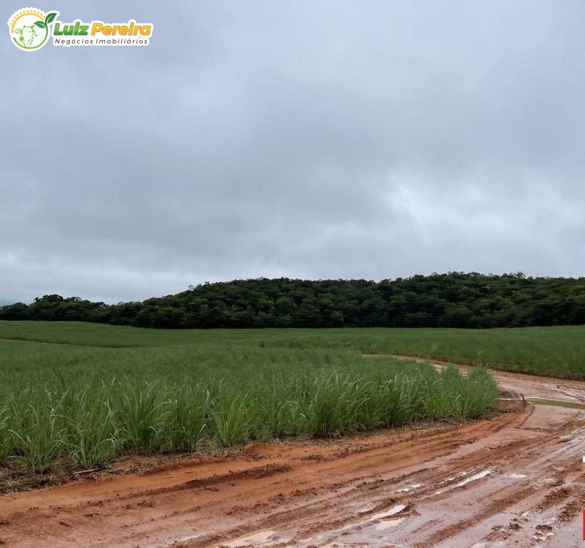 Terreno, 1006 m² - Foto 14