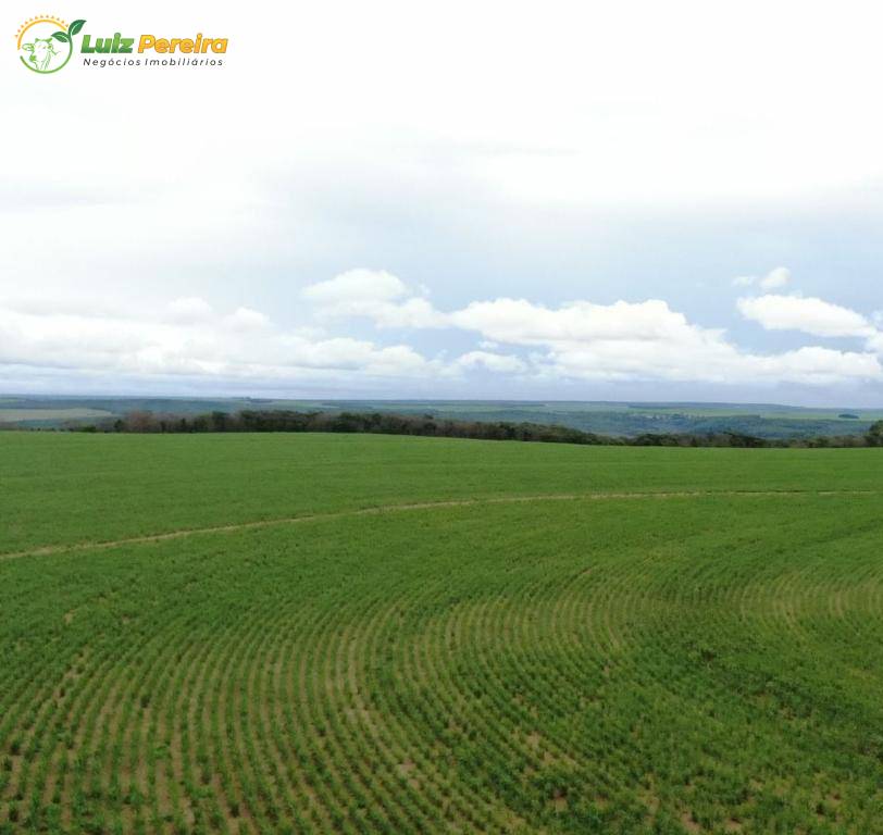 Terreno, 1006 m² - Foto 12