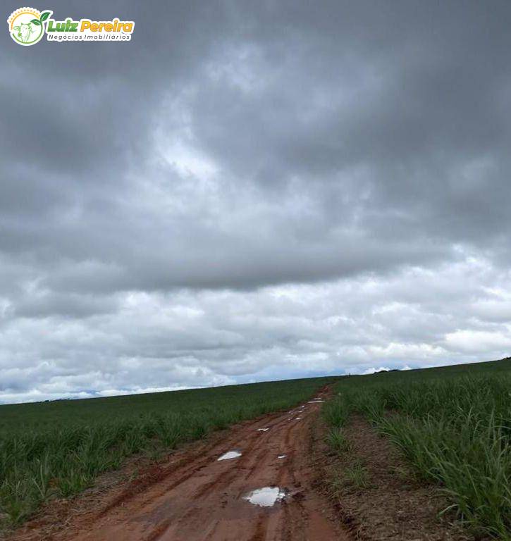 Terreno, 1006 m² - Foto 17