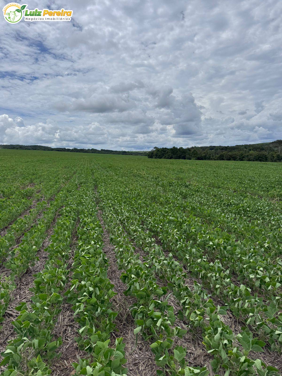 Terreno, 1006 m² - Foto 19