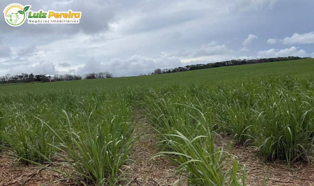 Terreno, 1006 m² - Foto 18