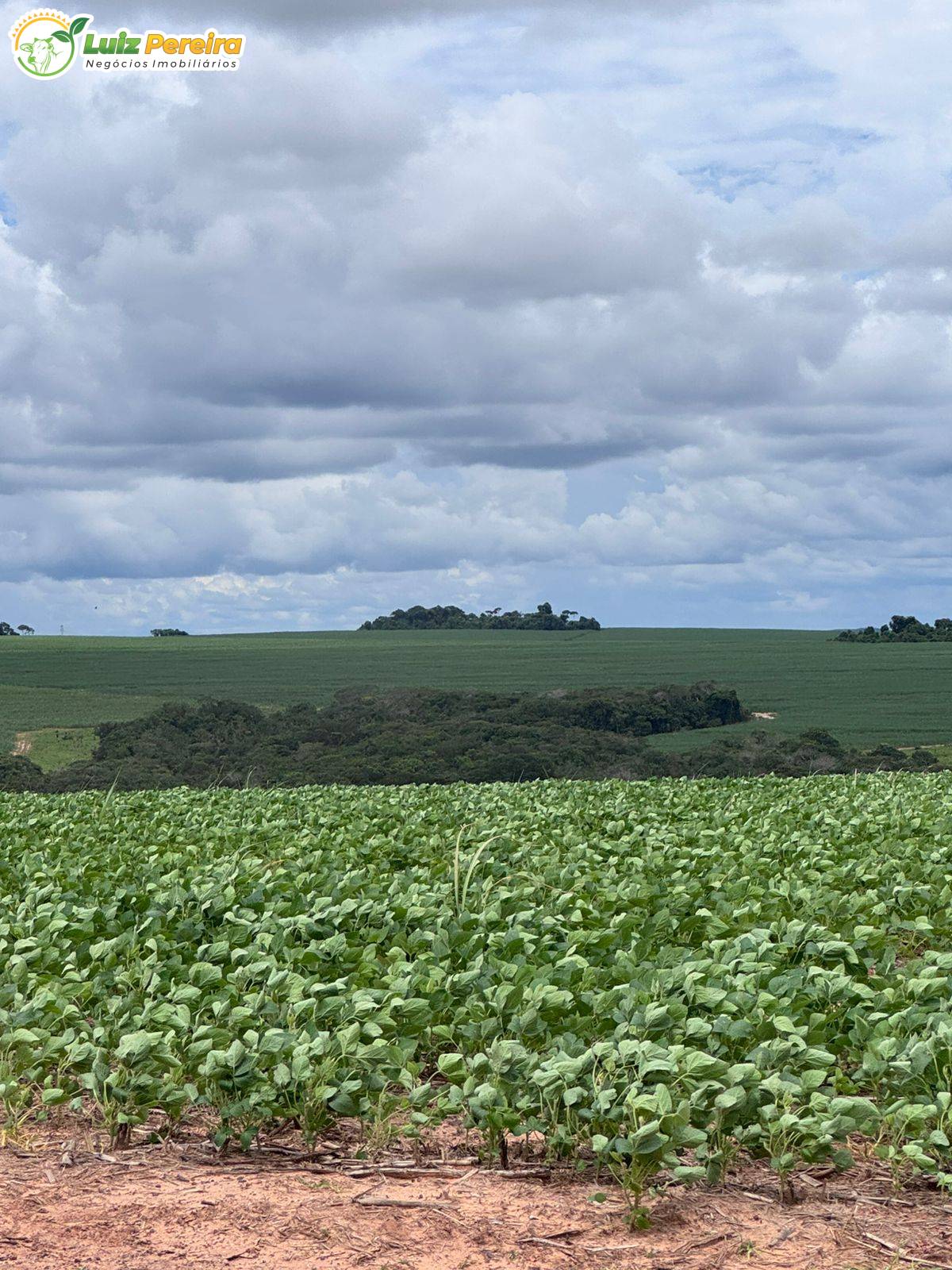 Terreno, 1006 m² - Foto 20