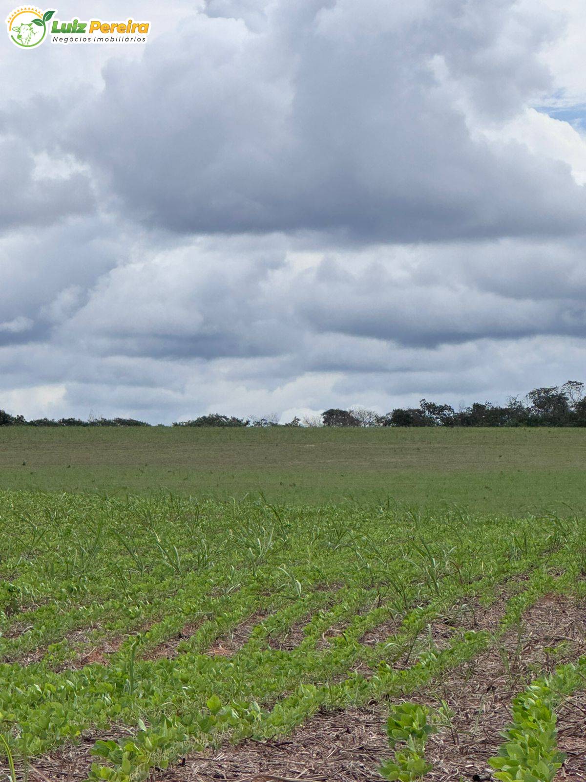 Terreno, 1006 m² - Foto 11