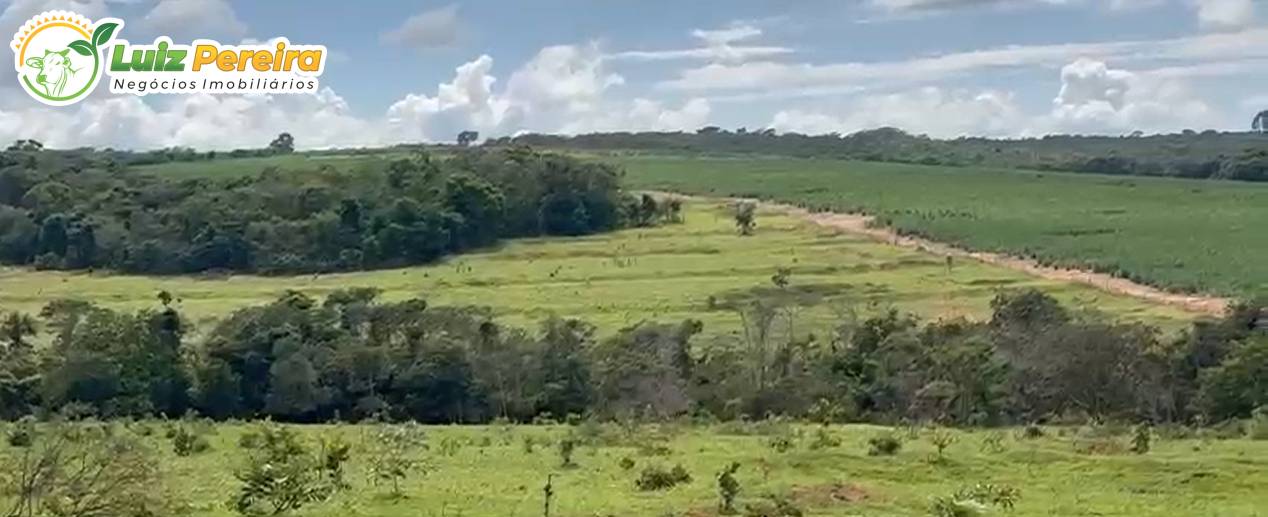 Terreno, 1006 m² - Foto 1