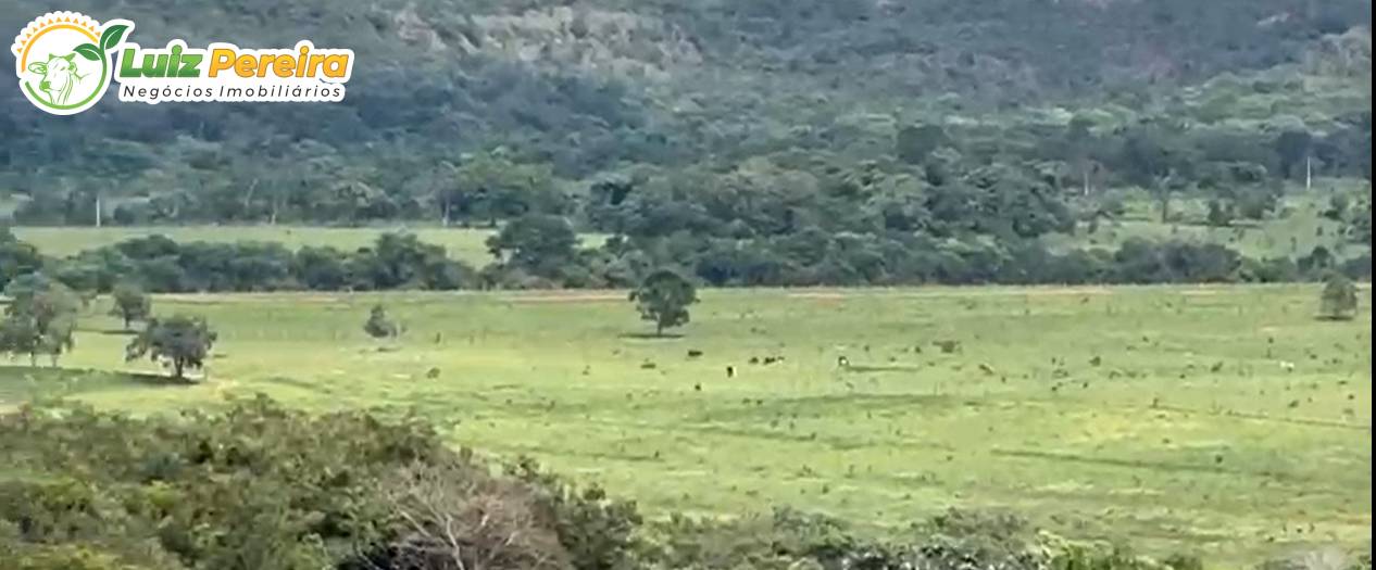 Terreno, 1006 m² - Foto 2