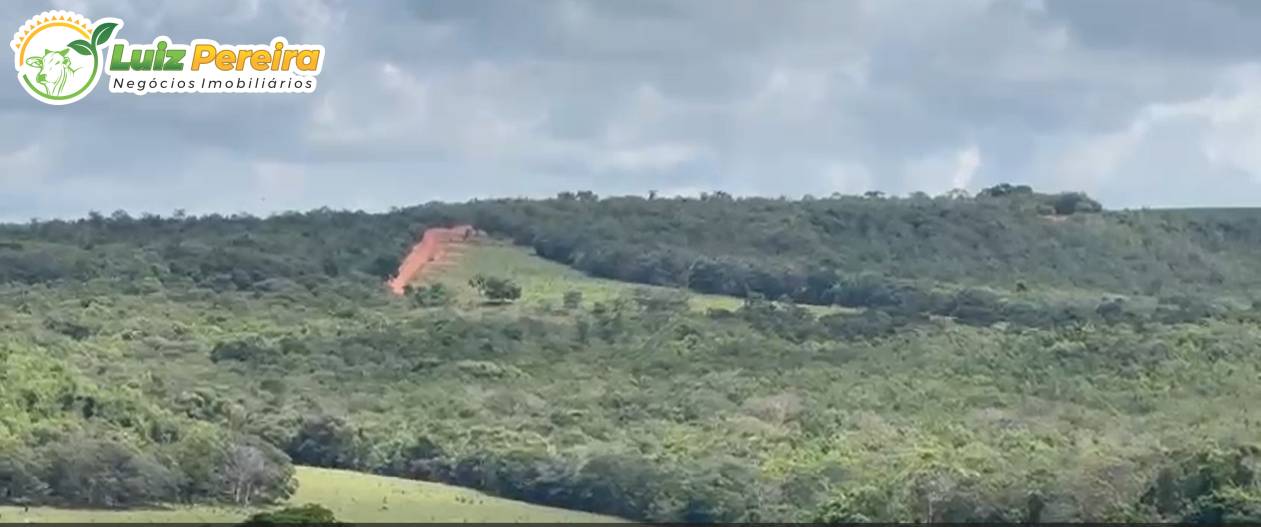 Terreno, 1006 m² - Foto 3